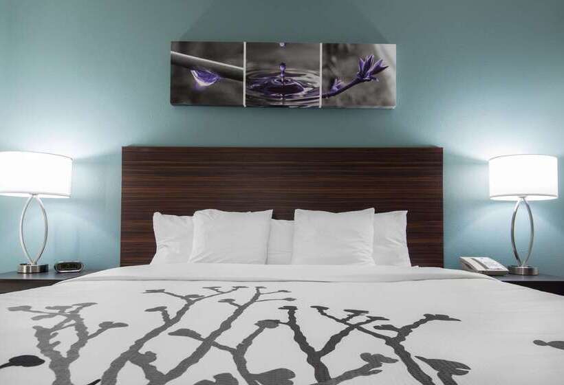 酒店 Sleep Inn & Suites Washington Near Peoria