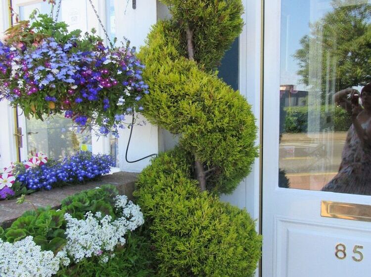 ホテル The Langtons Bed & Breakfast