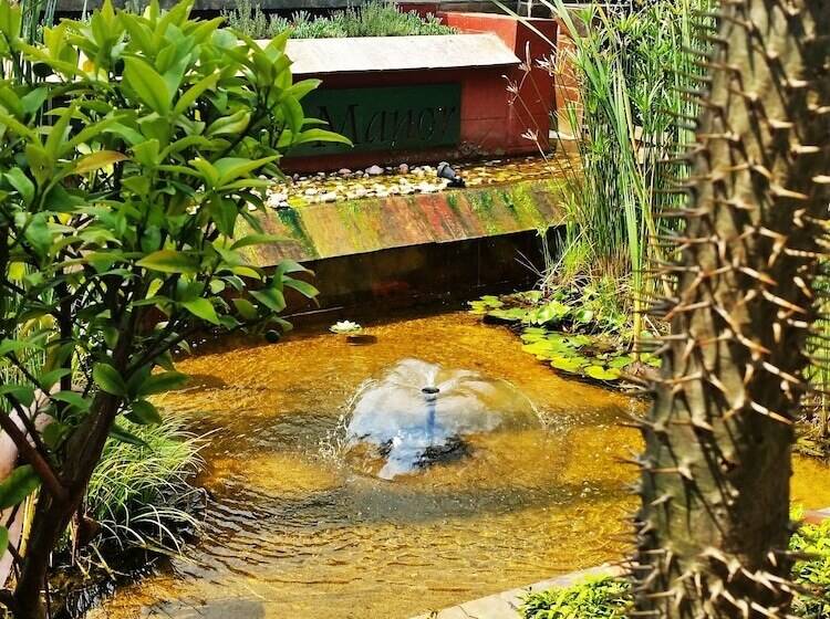 مسافرخانه Constantia Manor Guest House