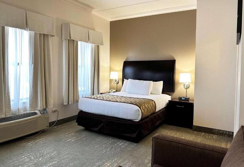 هتل Chicago South Loop