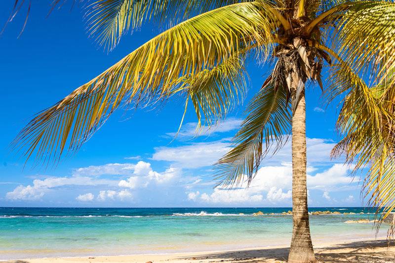 هتل Melia Braco Village, Jamaica   All Inclusive