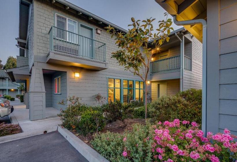 בית מלון כפרי Morro Shores Inn And Suites