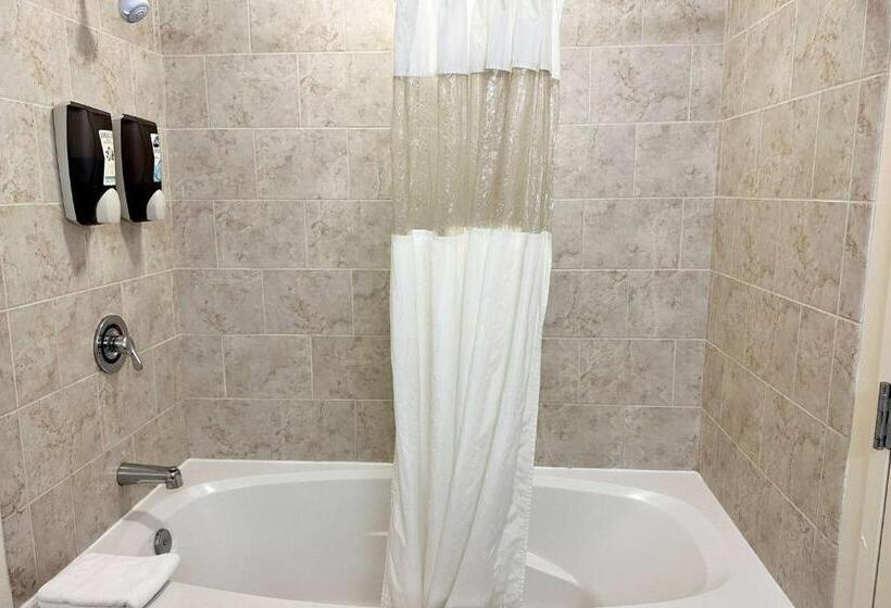 هتل Chicago South Loop