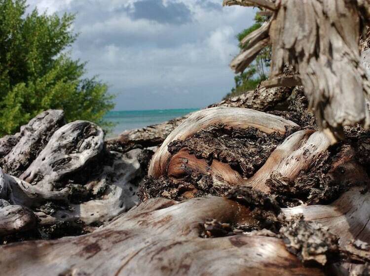 Paradise Beach Resort & Spa