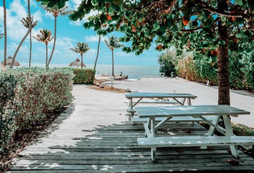 Drop Anchor Resort & Marina