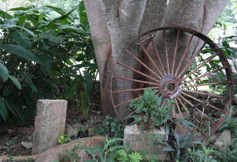 Хостел Hacienda Tepich