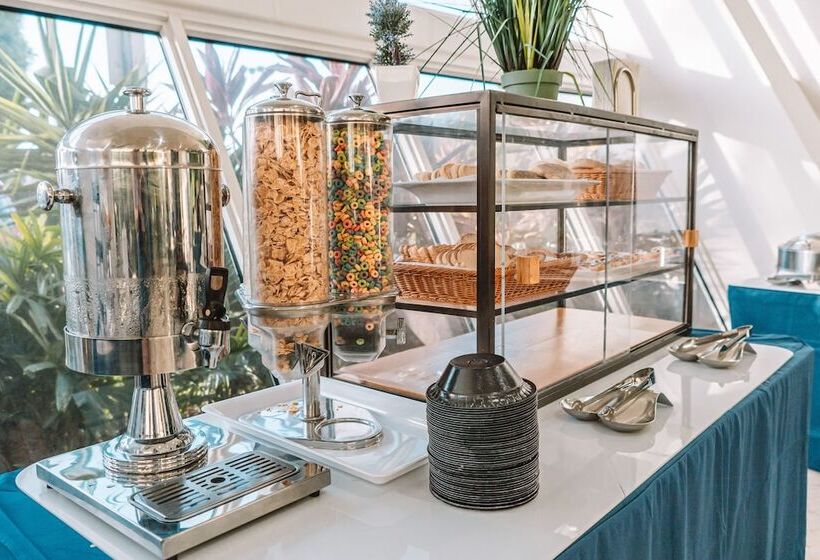 فندق Nuvo Suites