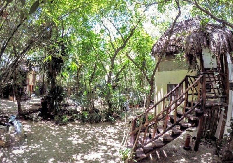Fotos del hotel Shalala :  14