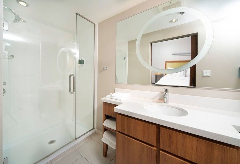 فندق Springhill Suites By Marriott Philadelphia Valley Forge/king Of Prussia
