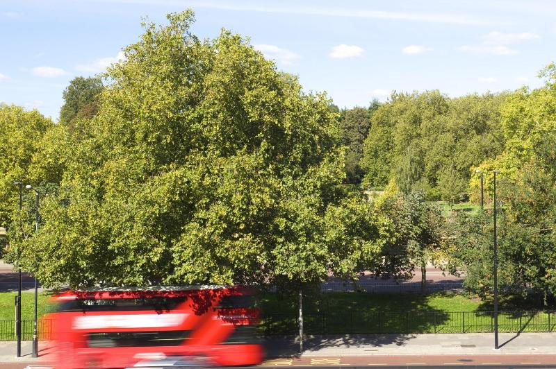 The Wellesley, A Luxury Collection Hotel, Knightsbridge, London