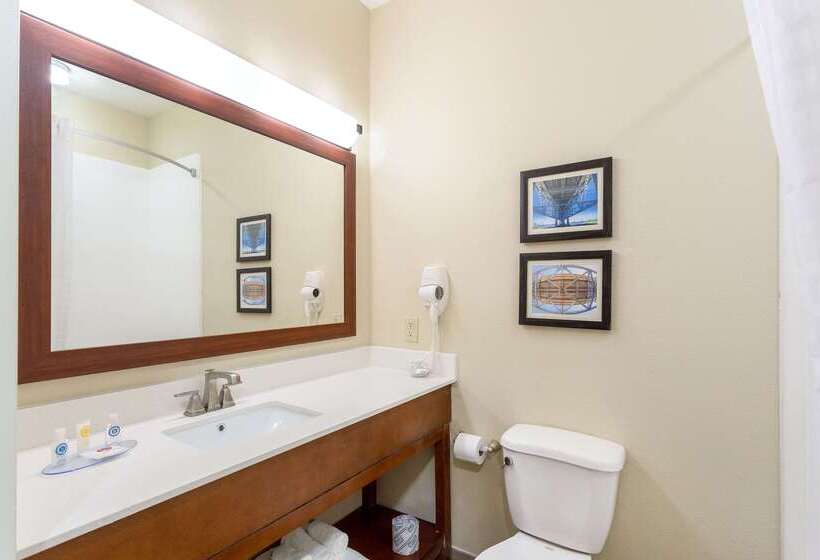 Отель Comfort Inn & Suites Airport