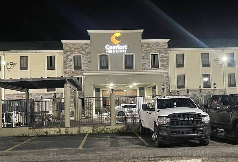 Отель Comfort Inn & Suites Airport