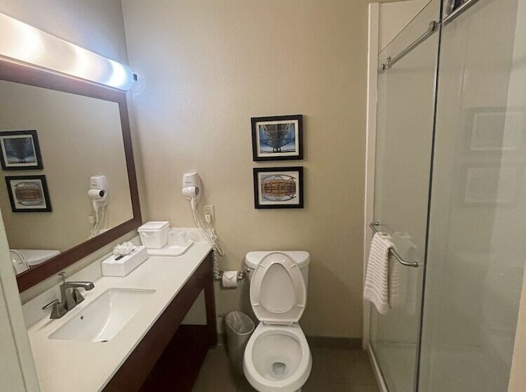 Отель Comfort Inn & Suites Airport