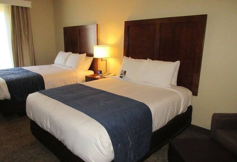Отель Comfort Inn & Suites Airport