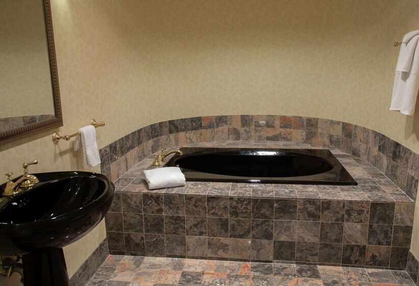 هتل President Abraham Lincoln Springfield   Doubletree By Hilton