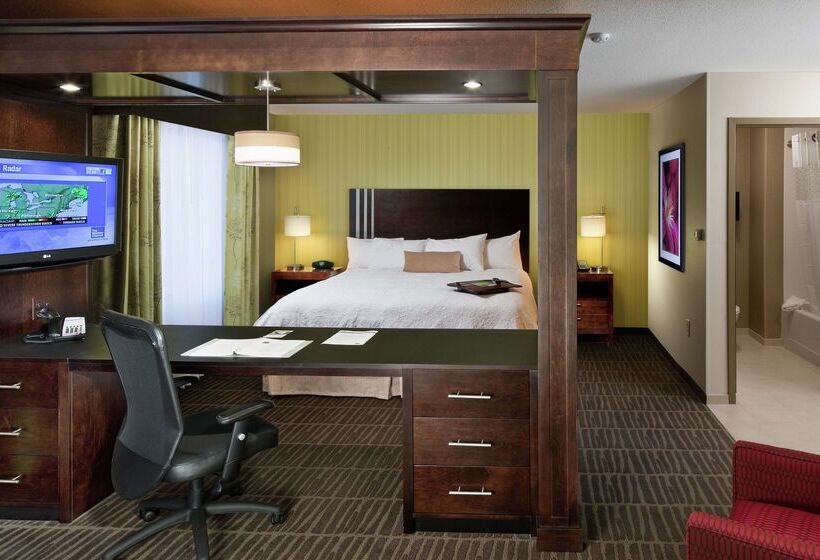 فندق Hampton Inn & Suites Saginaw