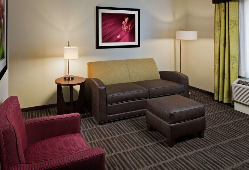 فندق Hampton Inn & Suites Saginaw