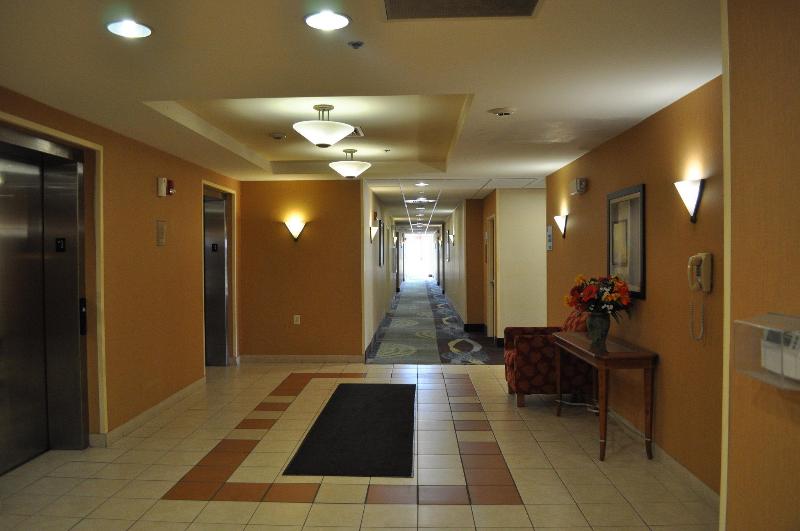 فندق Holiday Inn Express Williamston, An Ihg