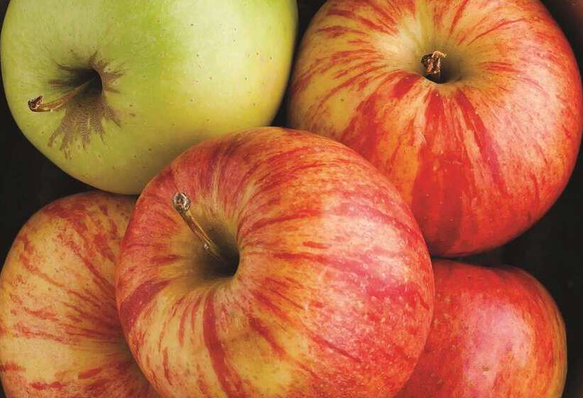 فندق La Quinta By Wyndham Manassas Battlefield