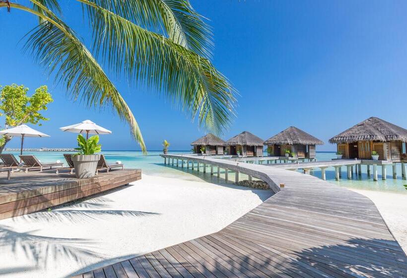 酒店 Lux South Ari Atoll Resort & Villas