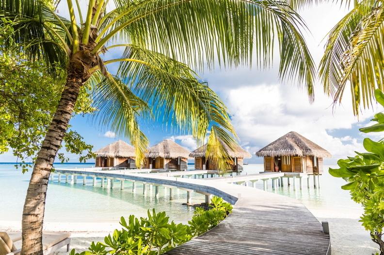 酒店 Lux South Ari Atoll Resort & Villas