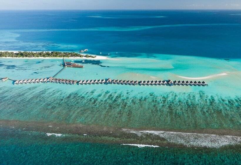 酒店 Lux South Ari Atoll Resort & Villas