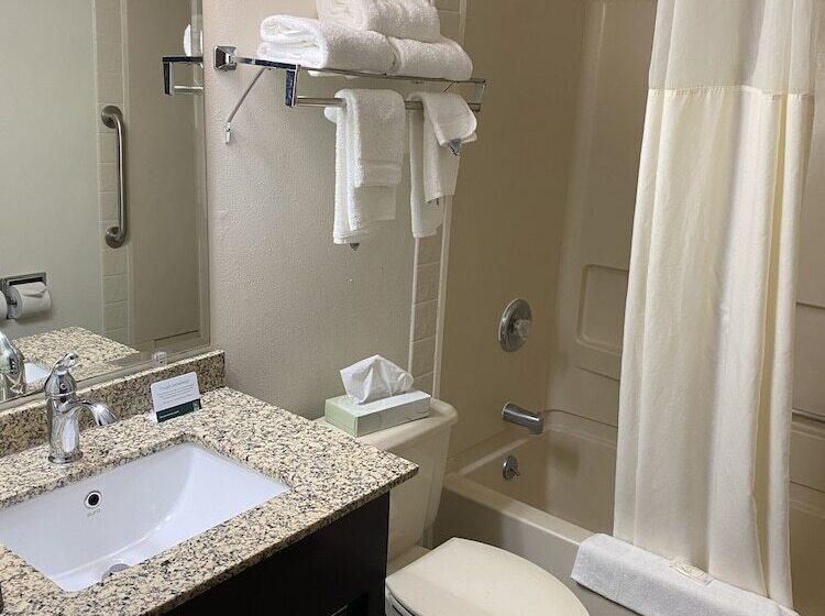 בית מלון כפרי Quality Inn Morton At I74