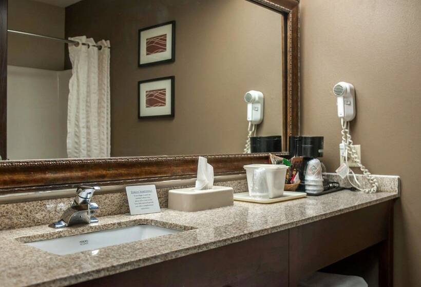 בית מלון כפרי Quality Inn & Suites Near St. Louis And I255