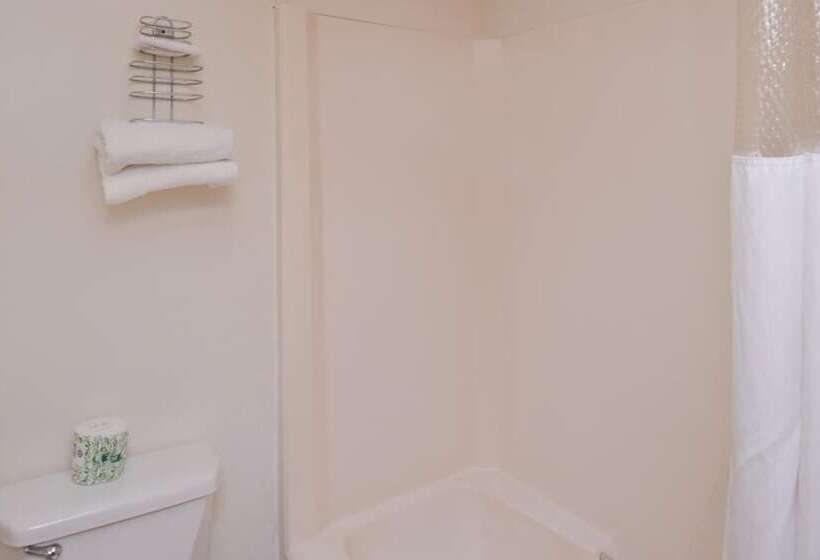 Отель Red Carpet Inn Pulaski