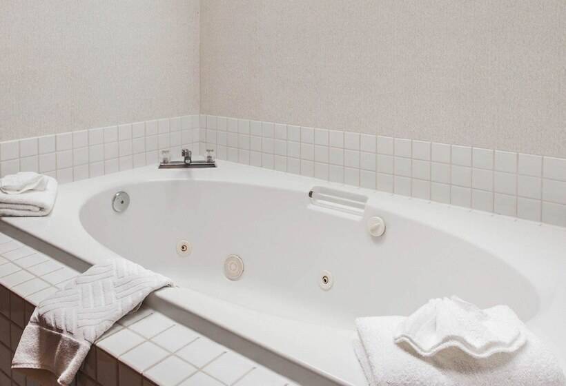 فندق Rodeway Inn