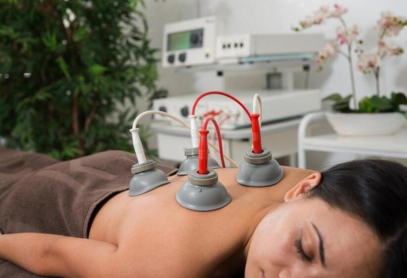 בית מלון כפרי Spa Club Bor