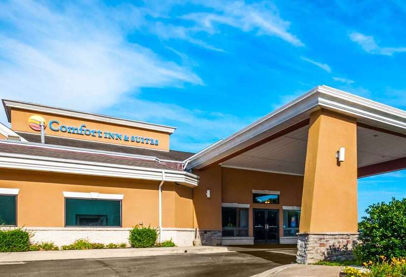 هتل Comfort Inn & Suites
