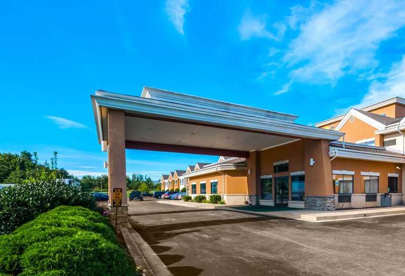 هتل Comfort Inn & Suites