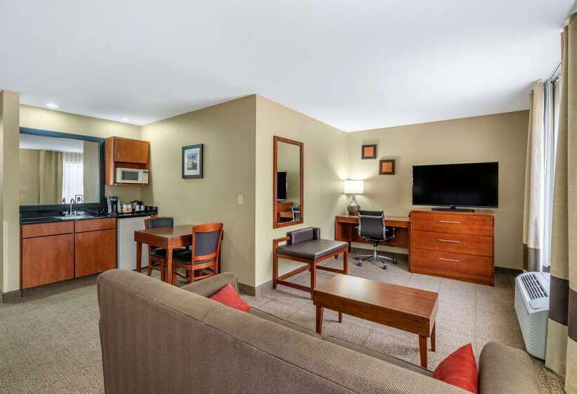 ホテル Comfort Inn Near Six Flags St. Louis