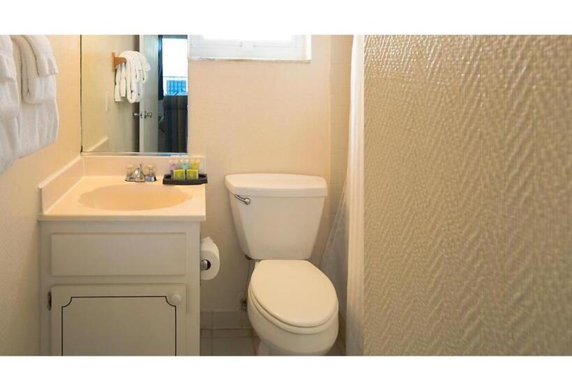 فندق Dolphin Beach Club