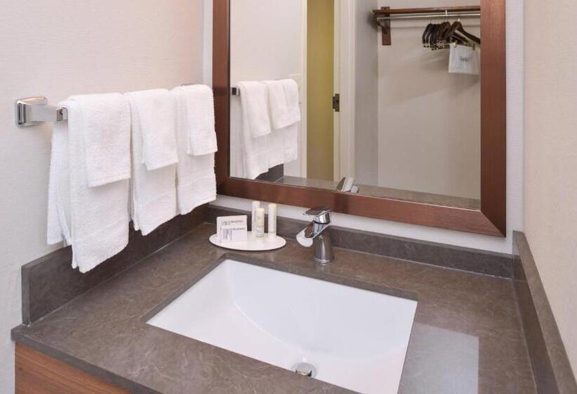 בית מלון כפרי Fairfield Inn & Suites By Marriott Pittsburgh New Stanton
