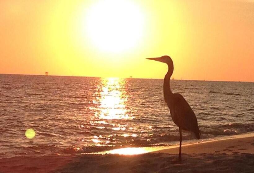 استراحتگاه Gulf Shores Plantation