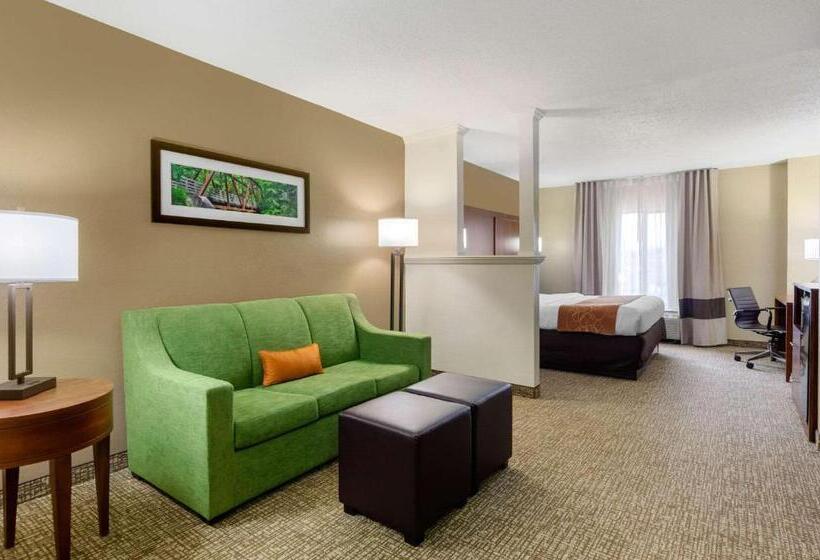 فندق Comfort Suites Abingdon I81