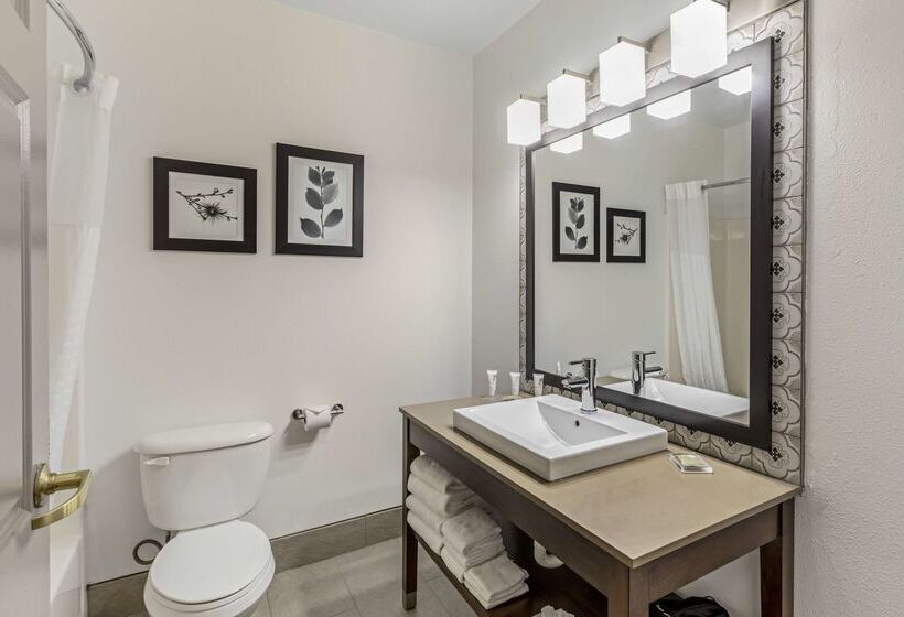 호텔 Country Inn & Suites By Radisson Elk Grove Village Itasca