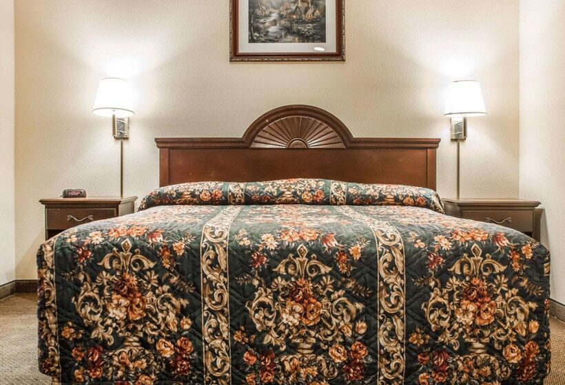 فندق Econo Lodge Inn & Suites Airport