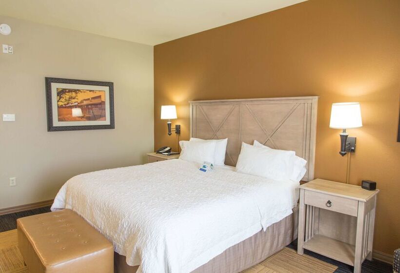 هتل Hampton Inn & Suites Dodge City