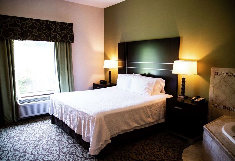 ホテル Hampton Inn & Suites Sharon