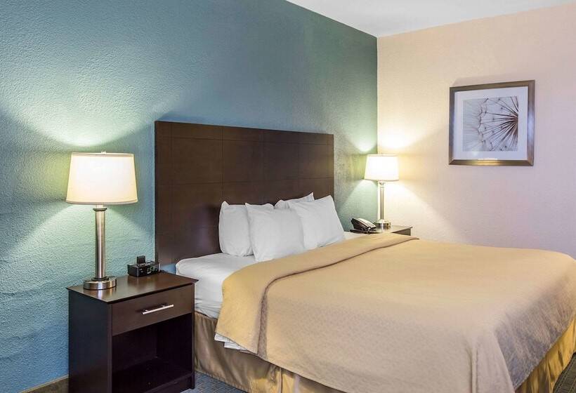 فندق Quality Inn
