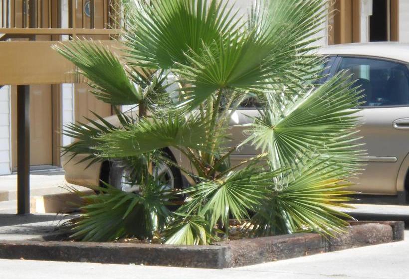 فندق على الطريق Glennville Inn