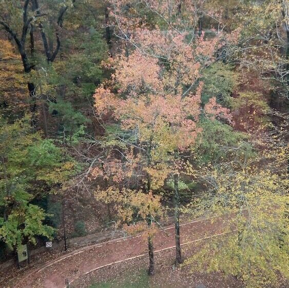 Park Hotel Of Hot Springs