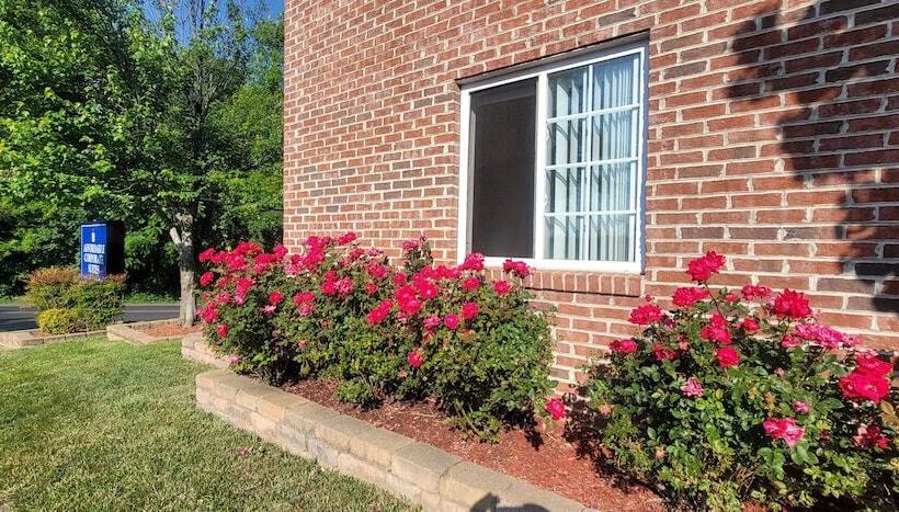 酒店 Affordable Suites Of America Harrisonburg