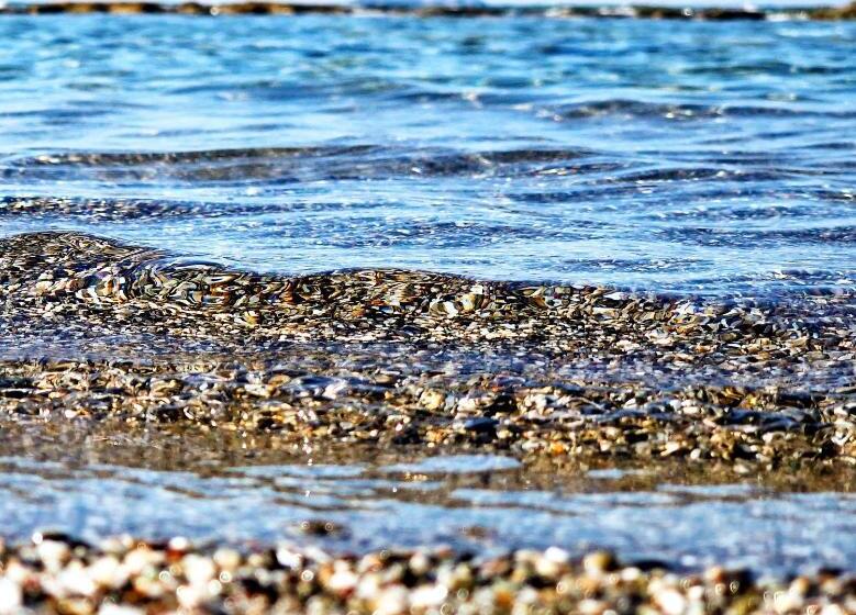 בית מלון כפרי Alonia