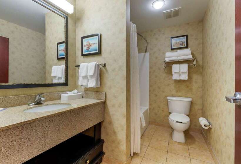 هتل Comfort Inn & Suites Cambridge