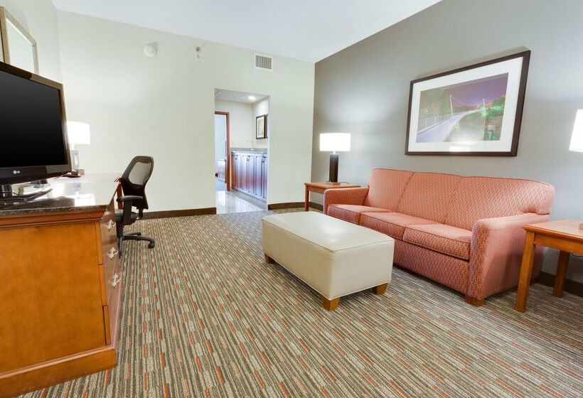 Отель Drury Inn & Suites Greenville