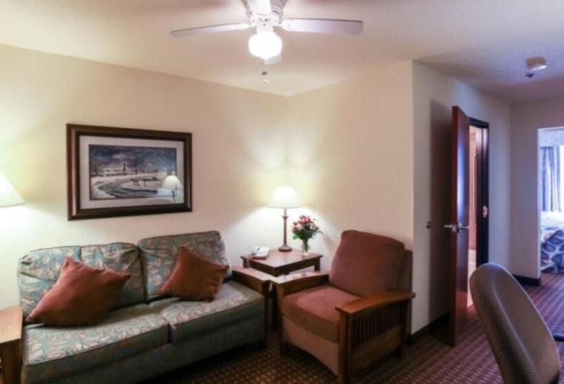 هتل Mountain Inn & Suites Airport   Hendersonville